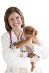 Animal-Clinics-And-Picking-The-Right-One-For-Your-Pet2